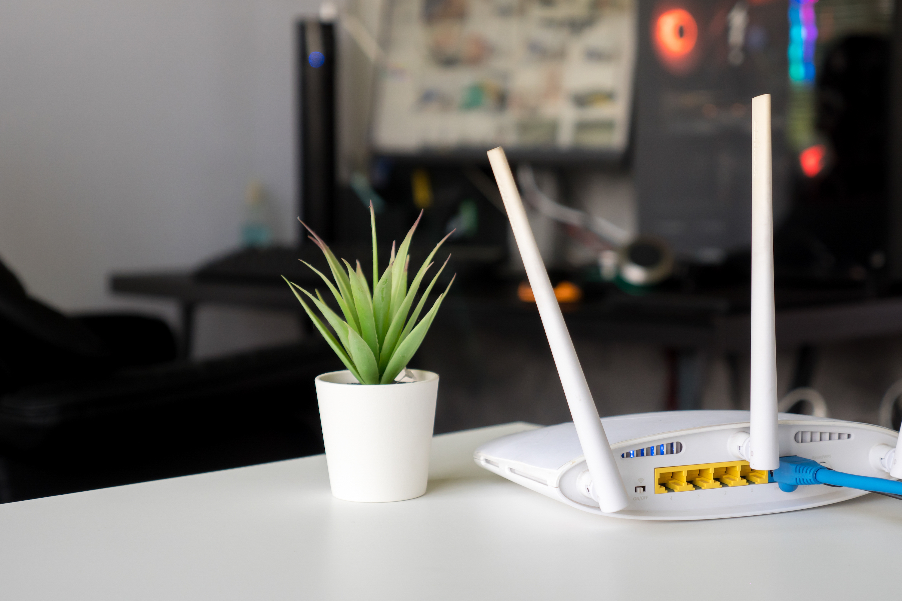router on desk with plant